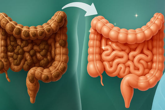 Best food for your gut health