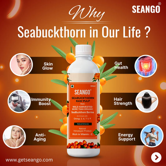 10 Amazing Benefits of super berry Seabuckthorn