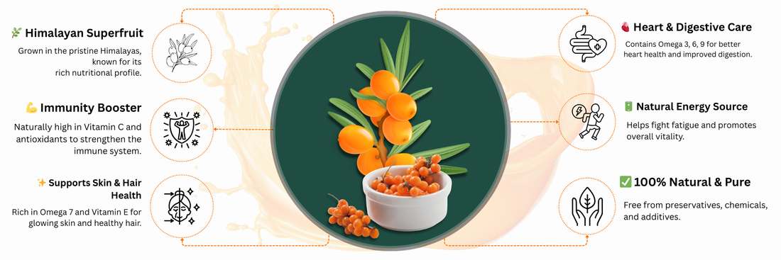 INTERESTING FACTS ABOUT SEA BUCKTHORN