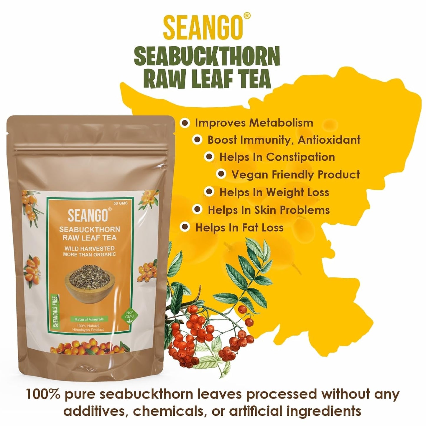 SEANGO Seabuckthorn Raw Leaf Tea