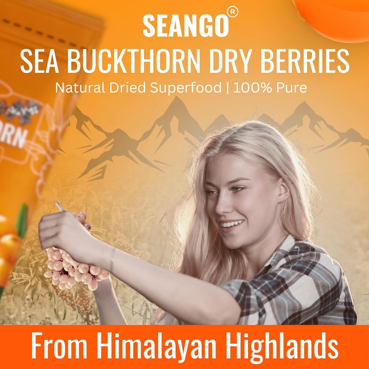 SEANGO® Sea Buckthorn Dried Berries with Beetroot Powder Combo (100+200g)