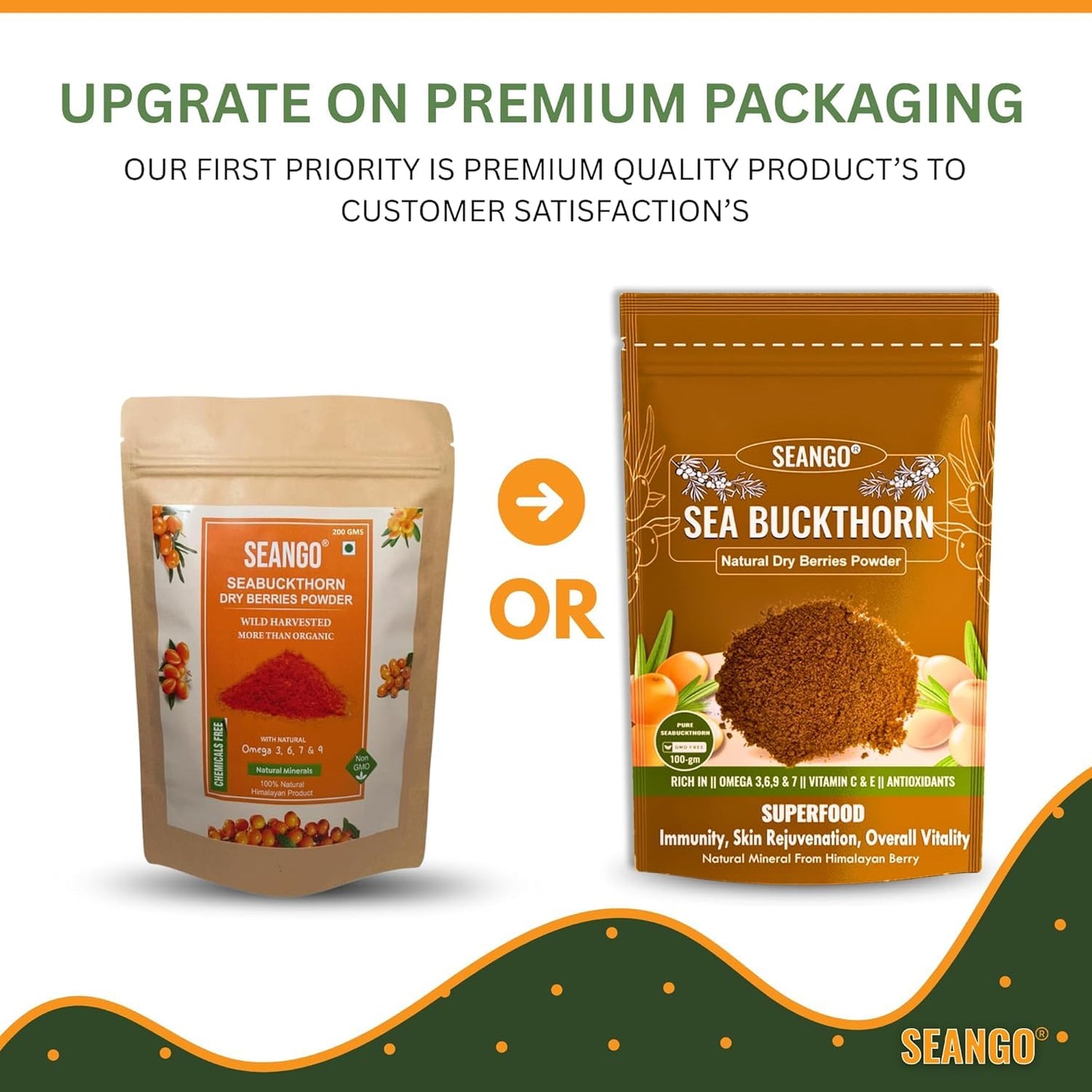 SEANGO | Organic Sea buckthorn Berry Powder | Himalayan Dried Berries | Collagen | Fiber | Vitamins | Omegas - 3,6,7,9, Flavonoids| 100 gms