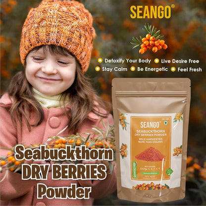 SEANGO | Organic Sea buckthorn Berry Powder | Himalayan Dried Berries | Collagen | Fiber | Vitamins | Omegas - 3,6,7,9, Flavonoids| 100 gms