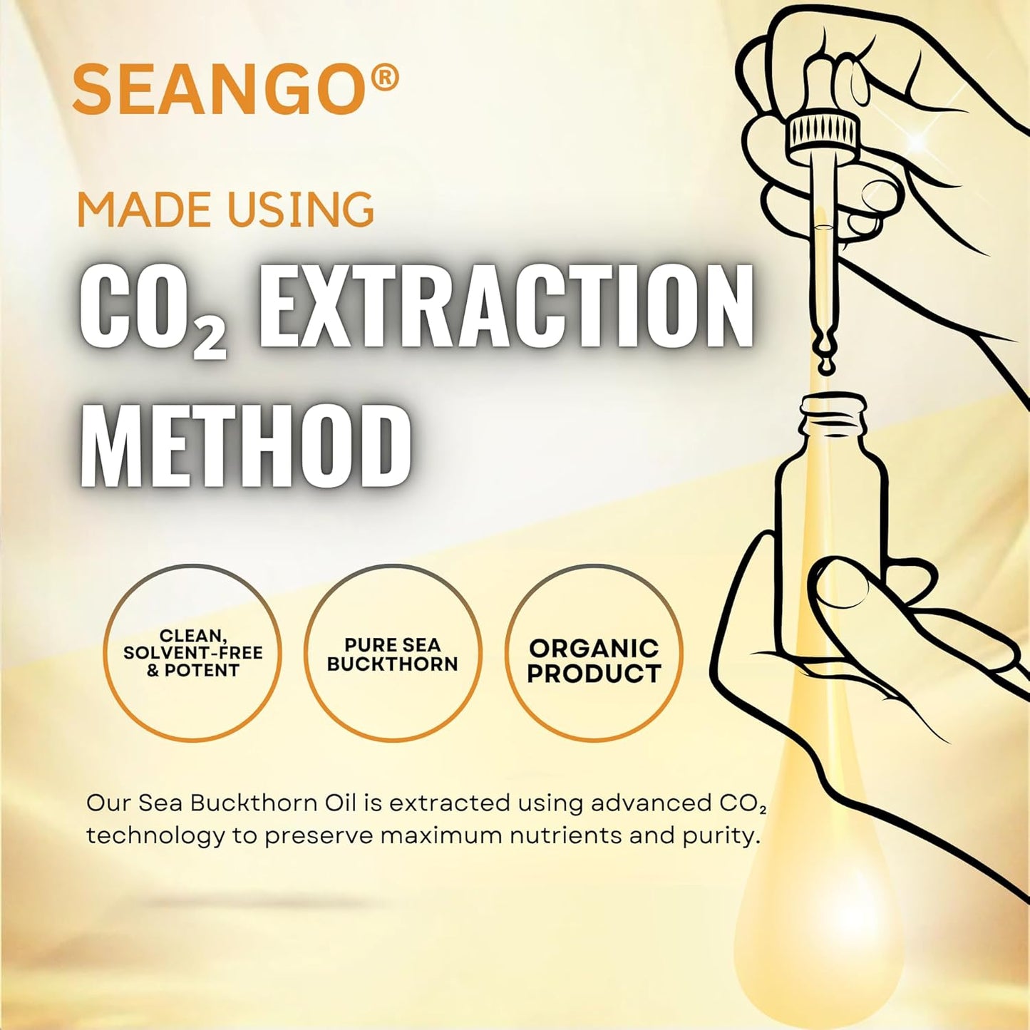 SEANGO® Sea Buckthorn Berry Oil 10-ml | Face & Hair oil | Nourishing Oil | Omega 3,6,7 & 9 | Collagen Boosting | Dull Skin & Fine Lines & Dark Spots | For Smooth, Glowing Skin (Pack of 1)